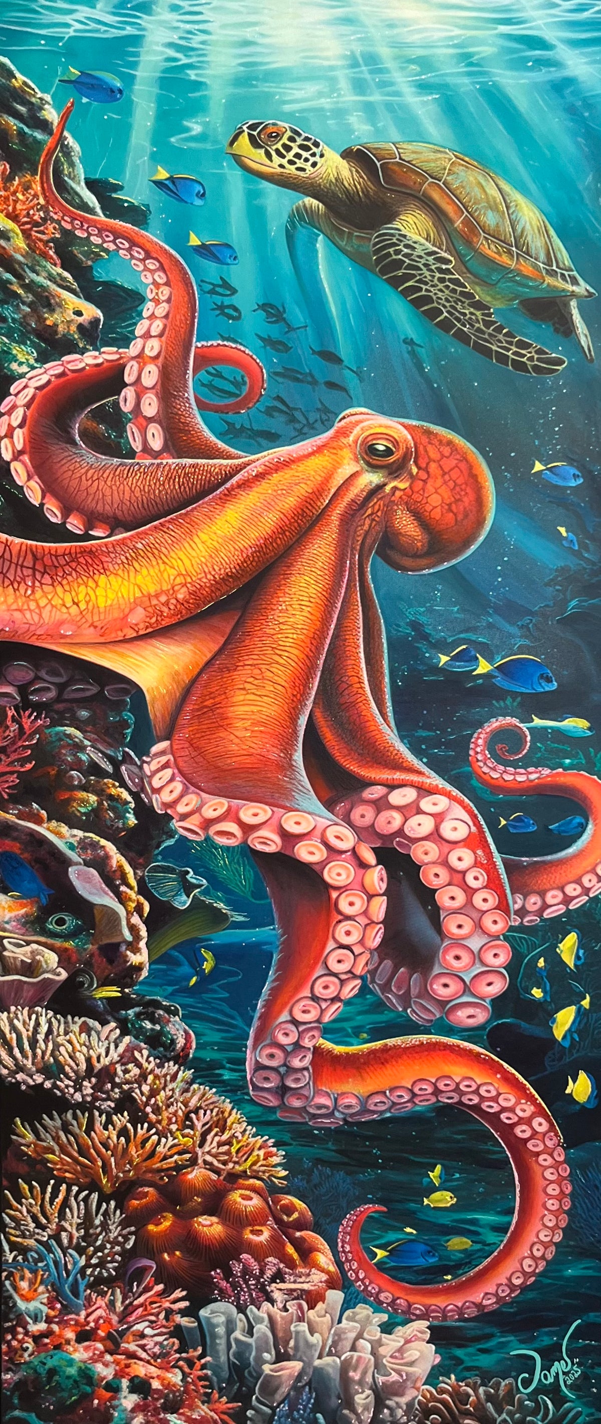 Reef Encounter