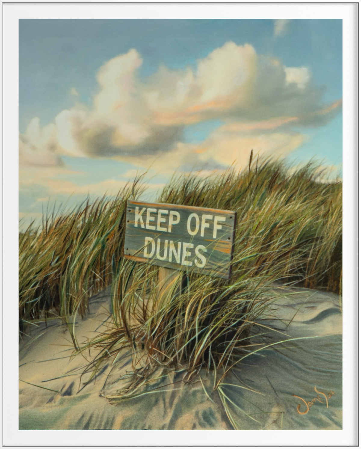 Keep Off Dunes